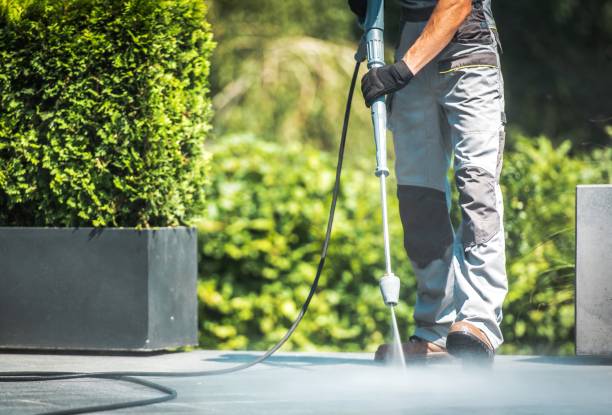 Best Rust Removal  in Zellwood, FL