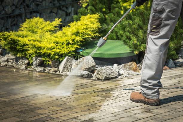 Best Sidewalk and Walkway Cleaning  in Zellwood, FL