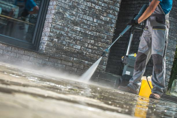 Best Gutter Cleaning  in Zellwood, FL