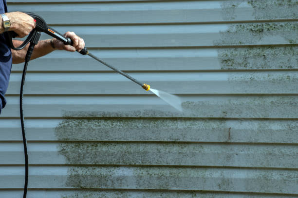 Best Building Exterior Washing  in Zellwood, FL